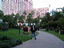 PC250459.JPG