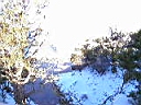 PC260490.JPG